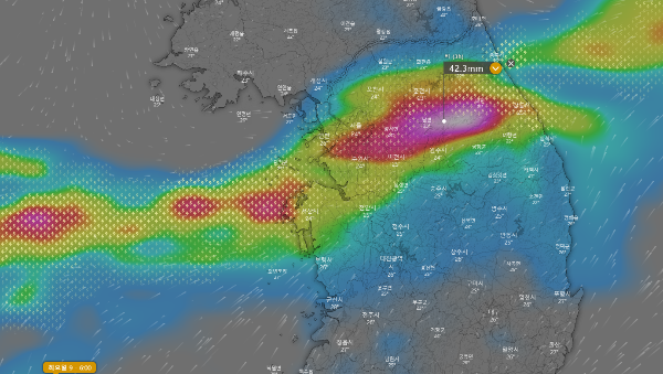 윈디닷컴-ECMWF-비구름-예측모델-서울-수도권-강원도-지역-선상강수대-형성-폭우-집중호우-예상