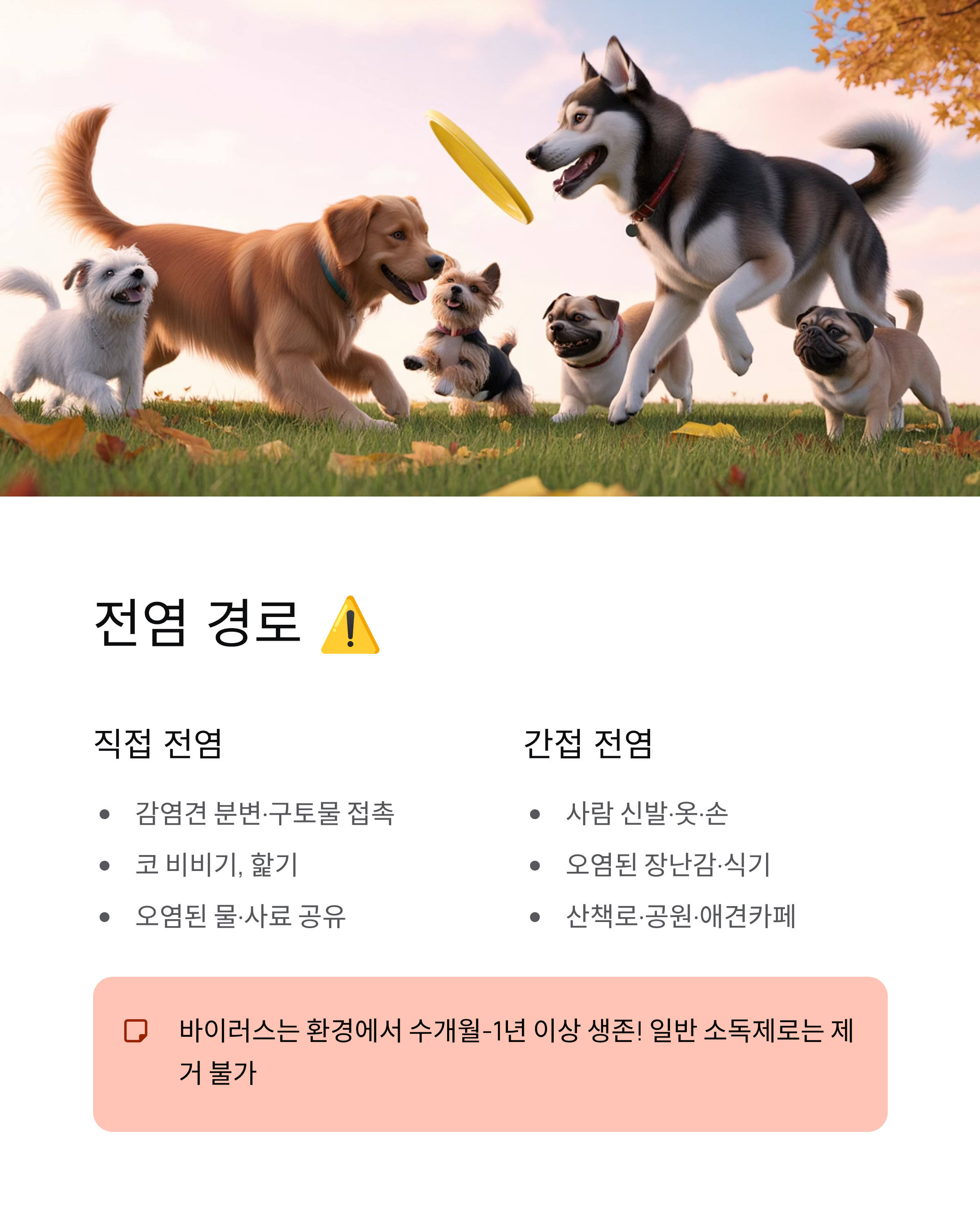 강아지 파보 🚨 증상·치료·예방접종 완벽 가이드!