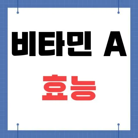 비타민 A