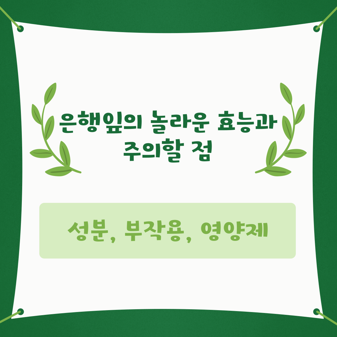 은행잎의 놀라운 효능과 주의할 점