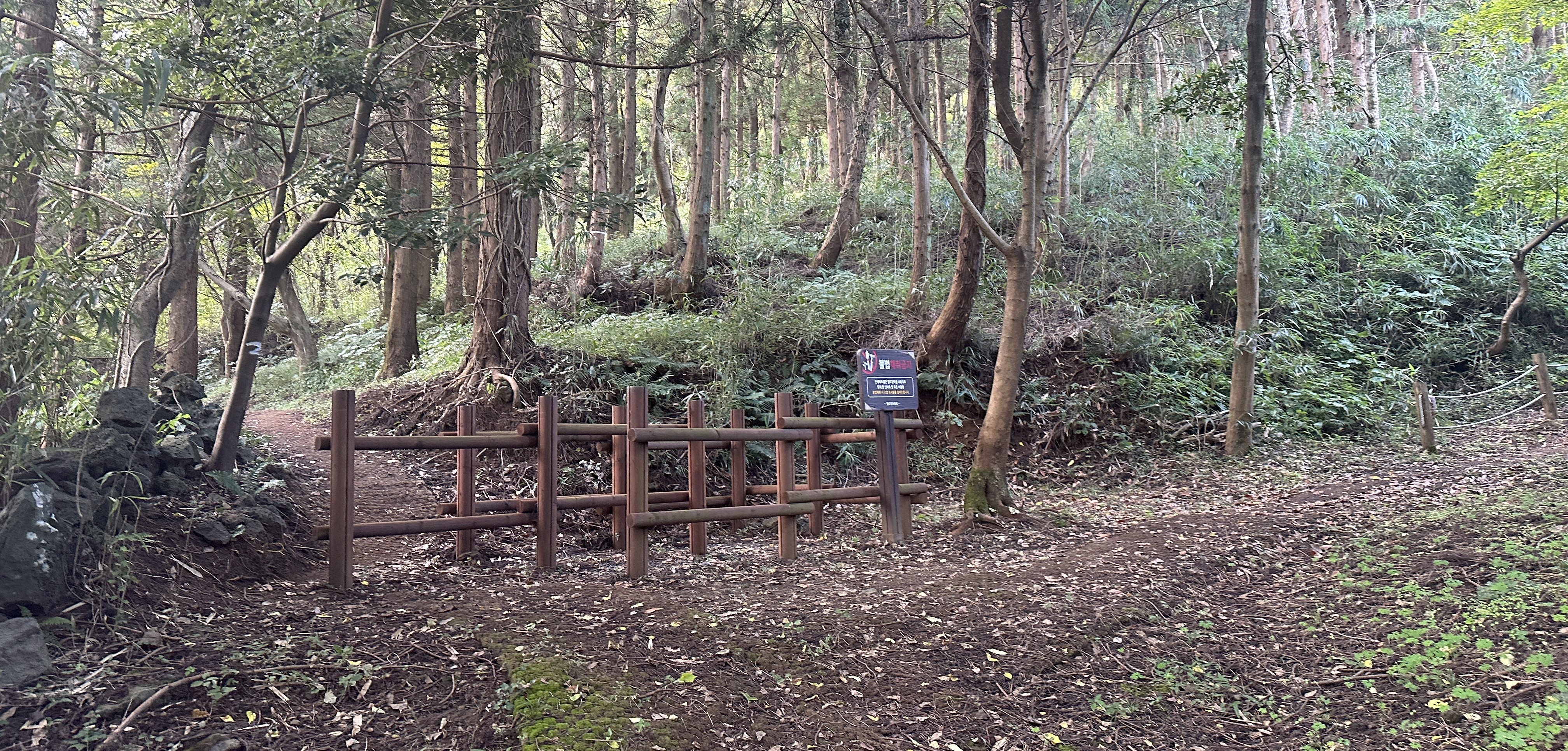 안세미 오름 둘레길