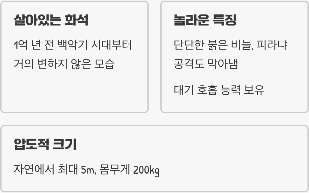 아마존의 제왕&amp;#44; 피라루쿠를 만나다