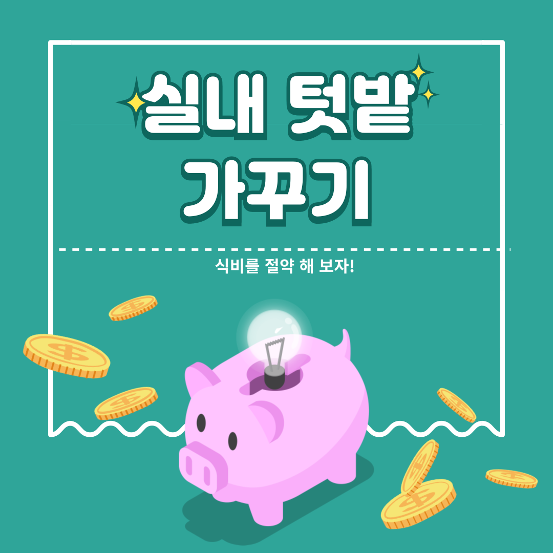 실내 텃밭 가꾸기