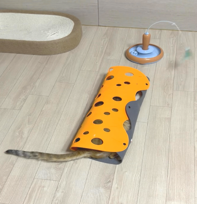 고양이가 펠트 터널 속에 몸을 숨긴 채 꼬리만 바깥으로 나온 모습