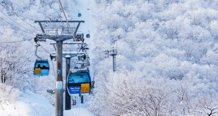 발왕산 케이블카