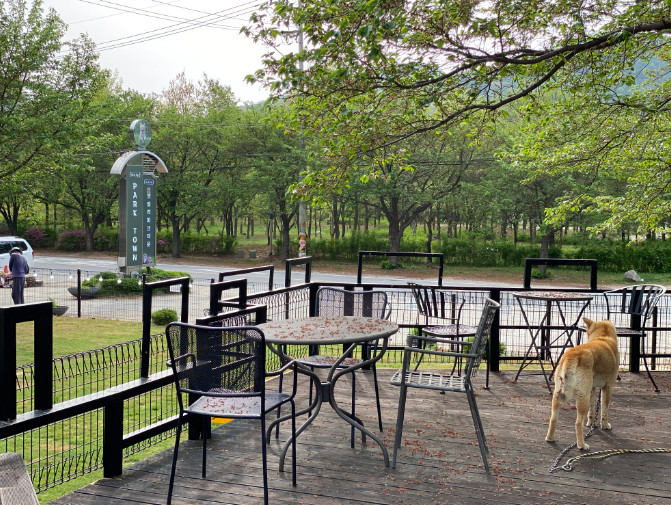 경기-가평-펫밀리-애견파크타운-사진-입니다.