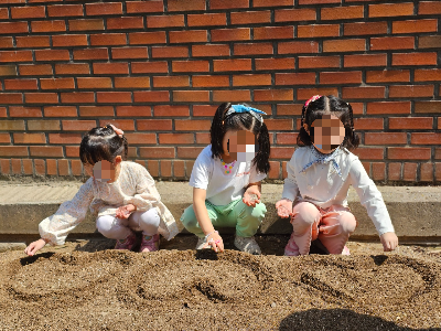 하트 모양으로 심어보고 싶어요!