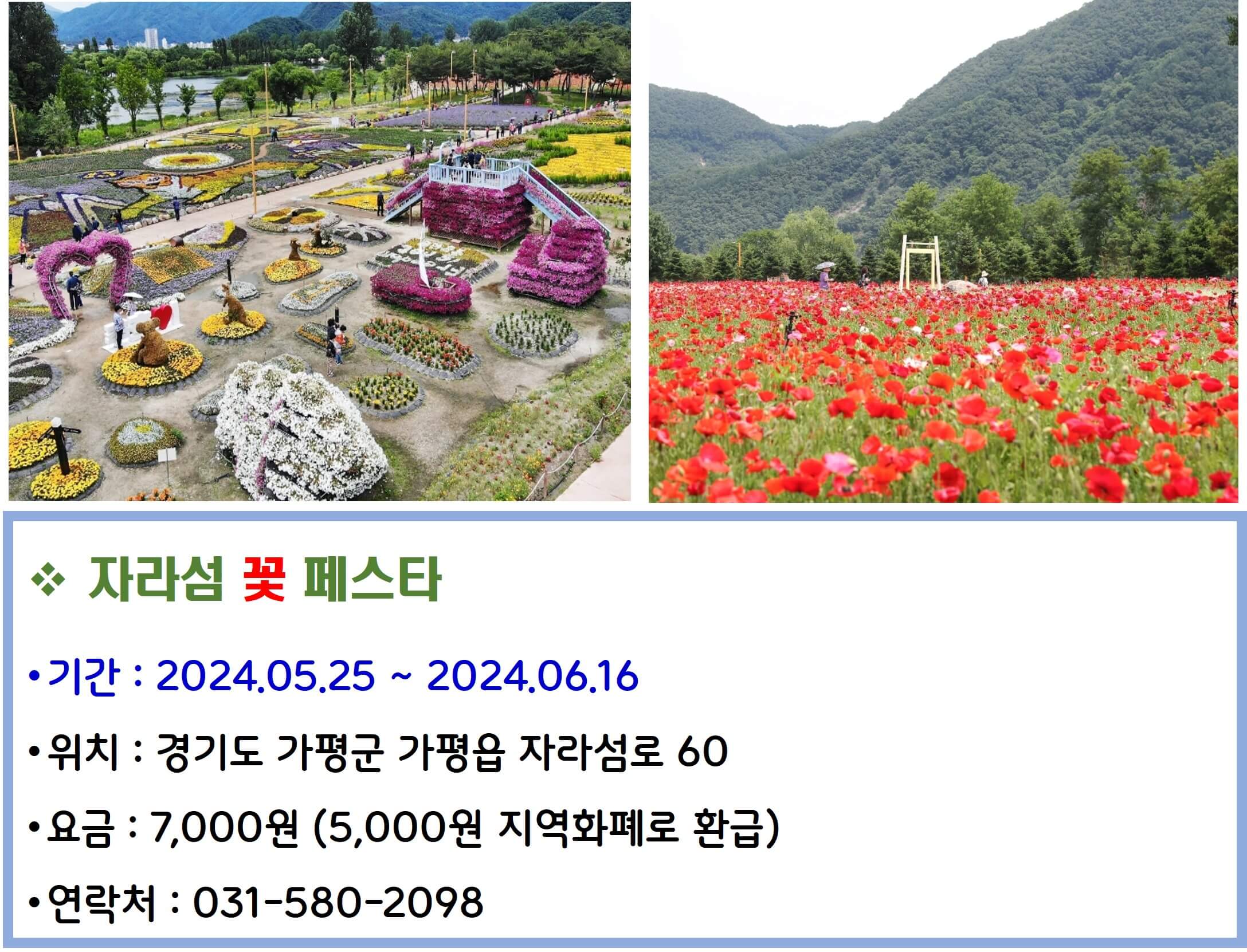 자라섬 꽃 페스타