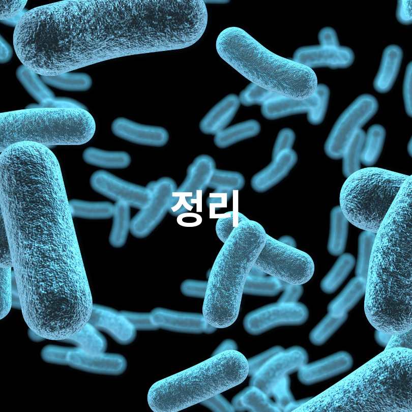 유산균 복용시간별 효과 차이와 올바른 섭취법