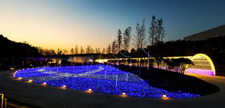별빛정원 우주