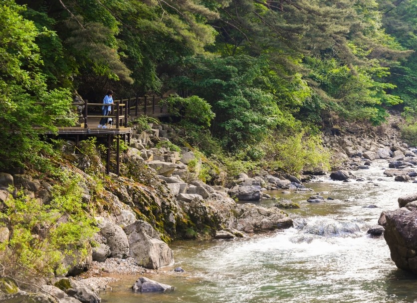 운일암 반일암 계곡