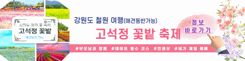 고석정 꽃 축제