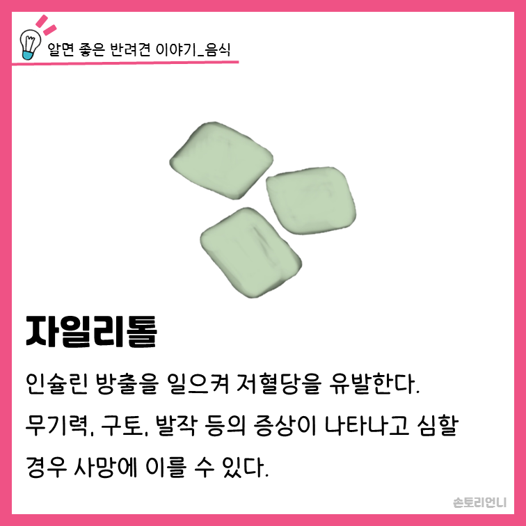 자일리톨