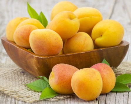 한국의 떡 종류 살구떡-살구