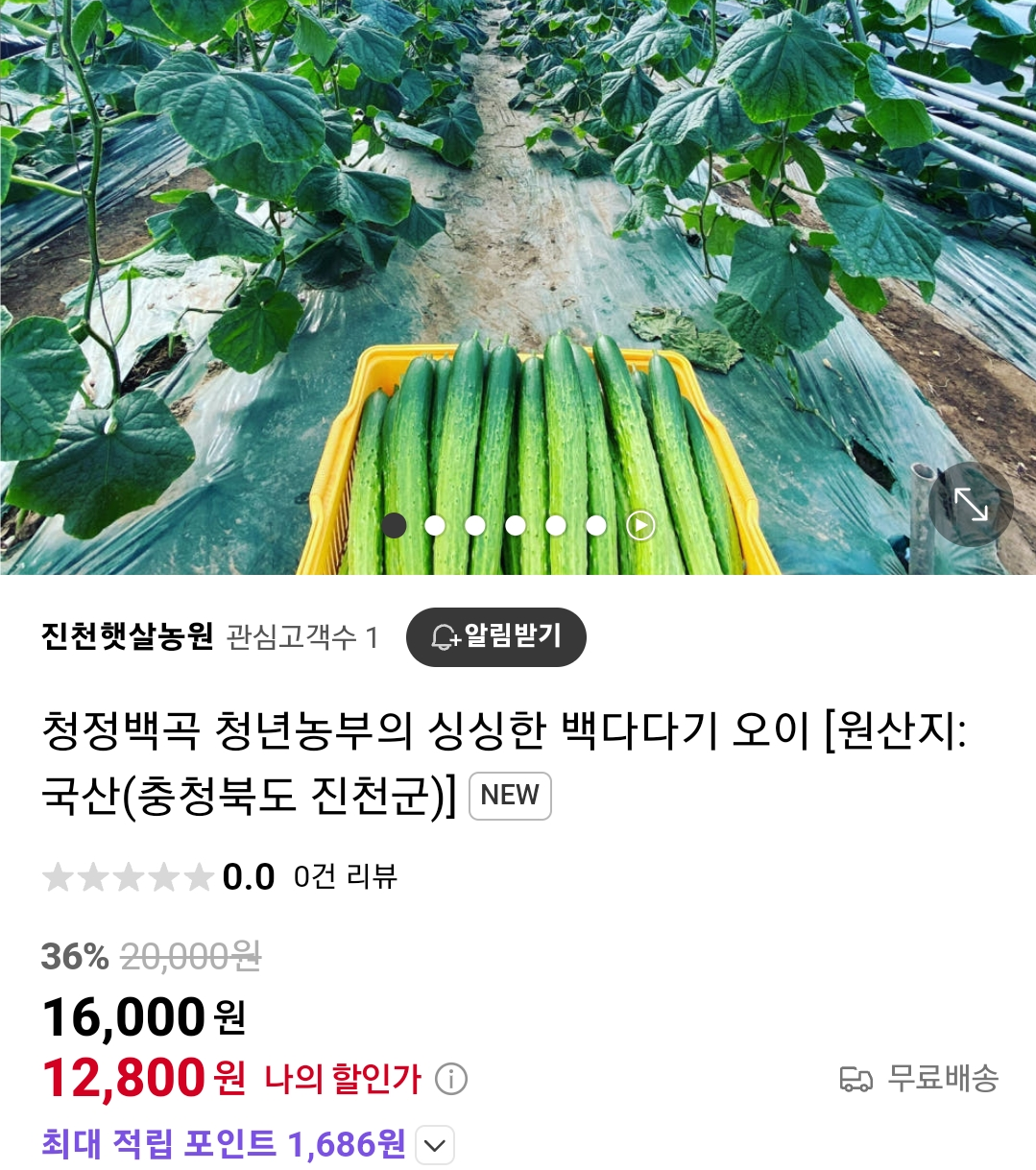 생방송투데이 이 주의 장바구니 진천 오이