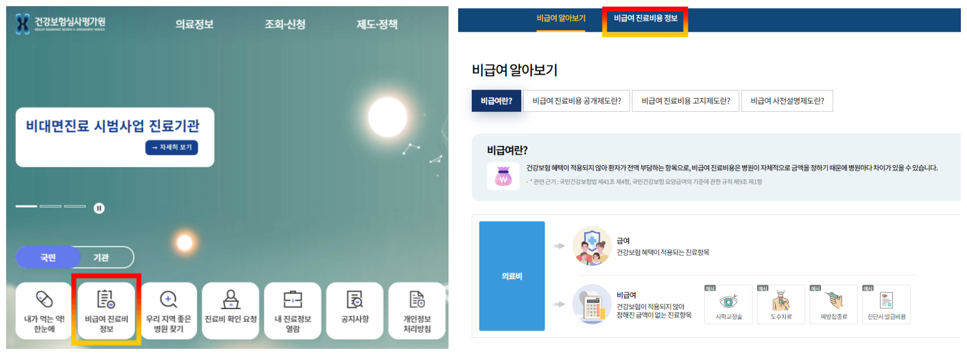 건강보험심사평가원 홈페이지