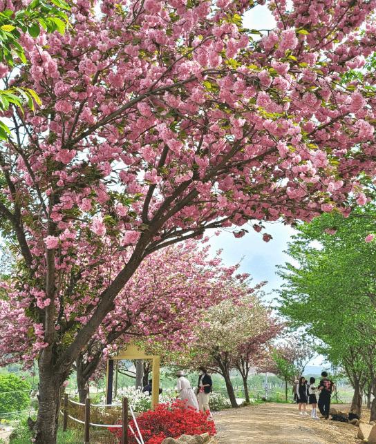 경주선덕여왕길