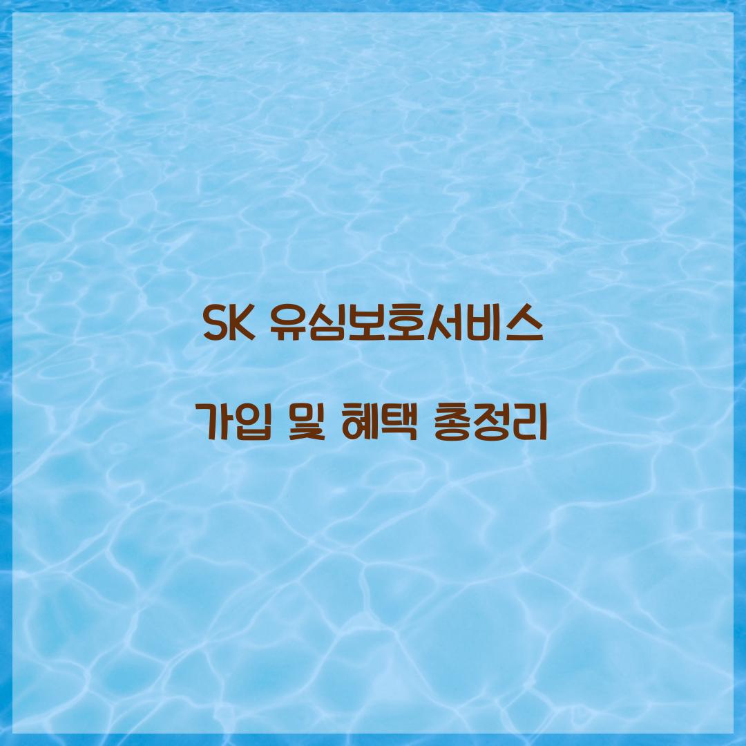 SK 유심보호서비스 가입