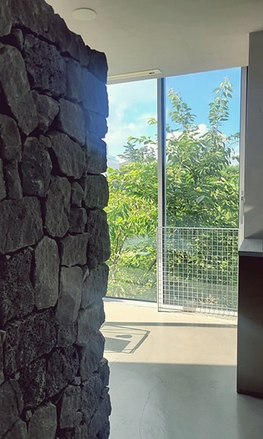 제주농협에서-산-제주산-애플망고-진짜-최고