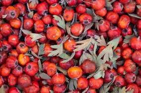 멀티비타민 추천 복용시간 먹는시간