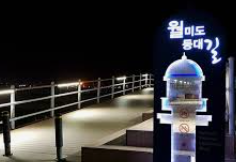 월미도 유람선 운항요금