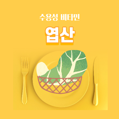 수용성비타민 엽산