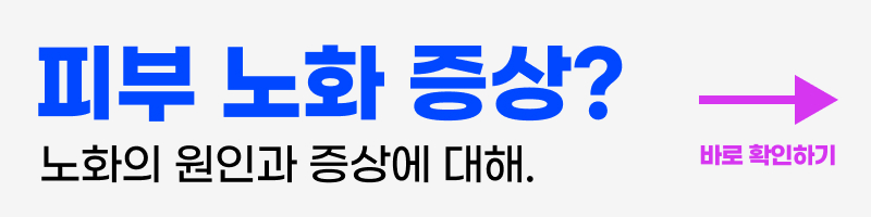 피부 노화 방지에 좋은 음식 TOP7