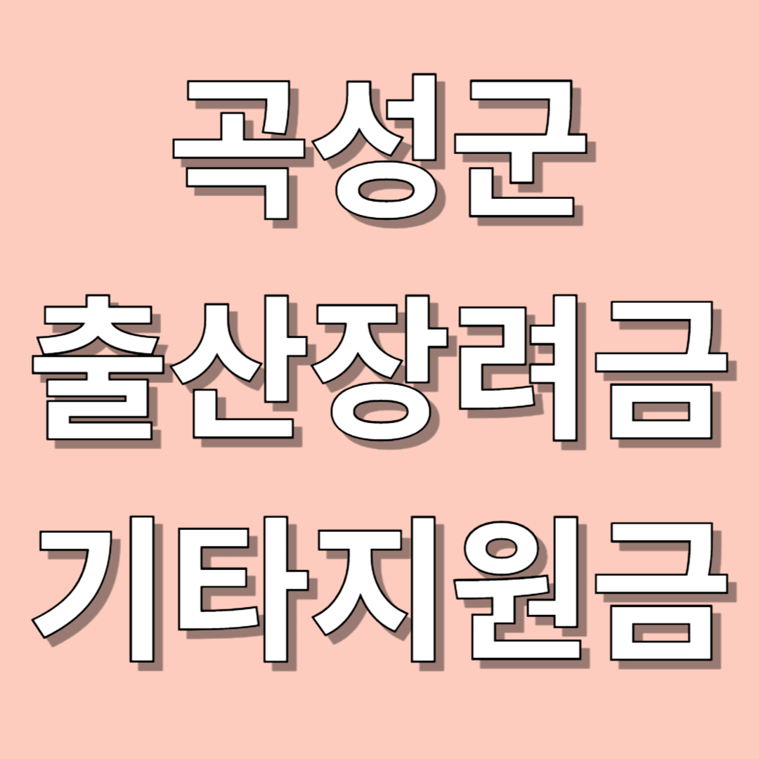 곡성군 출산장려금