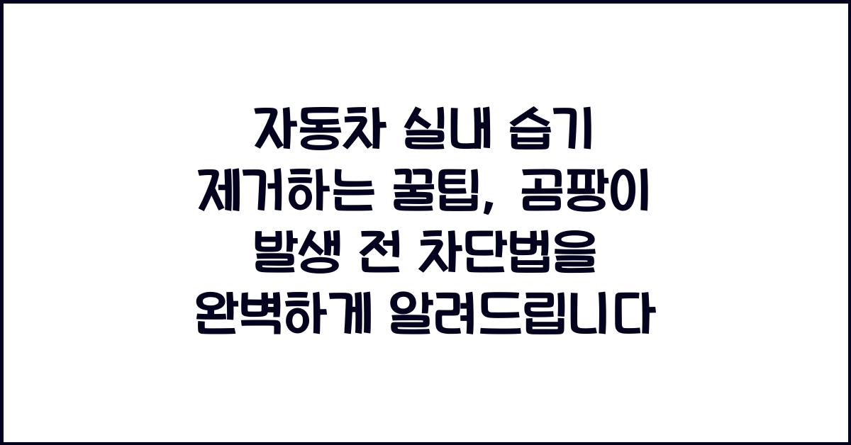 자동차 실내 습기 제거하는 꿀팁, 곰팡이 발생 전 차단법
