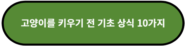 고양이를 키우기 전 기초 상식 10가지
