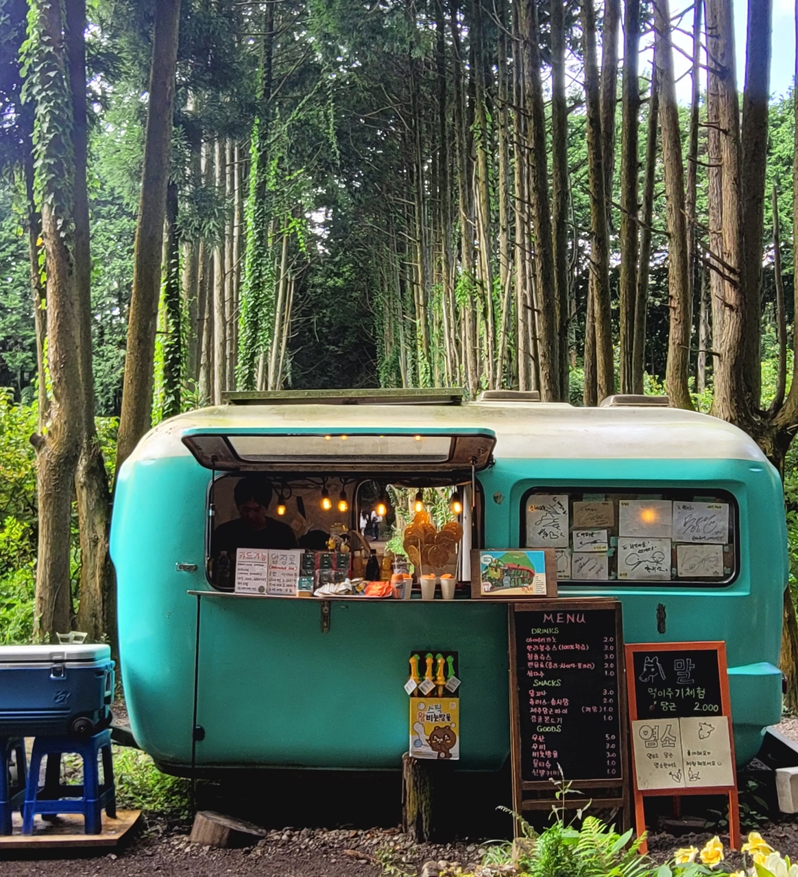 제주-가족여행-코스-마음디톡스-비밀의 숲-휴양림