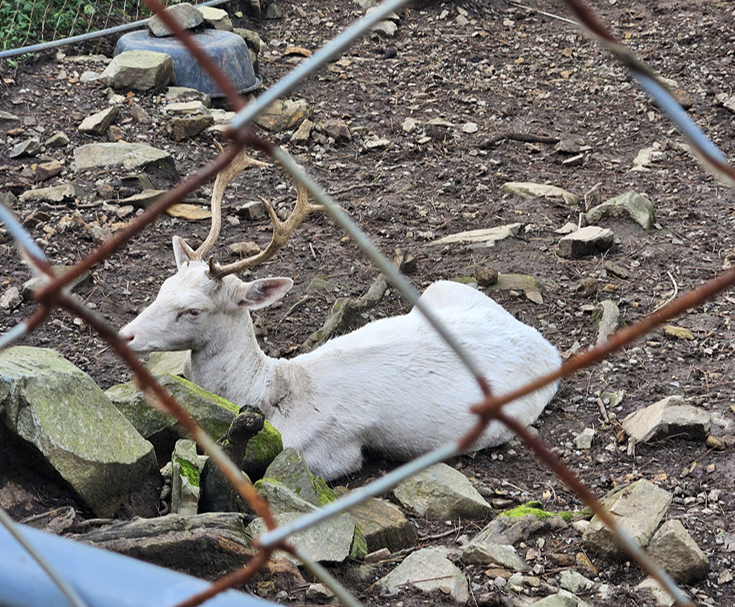 남해 가볼만한곳 베스트10