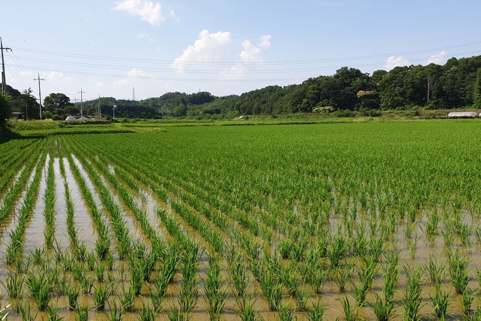 영주 가볼만한곳 베스트 10