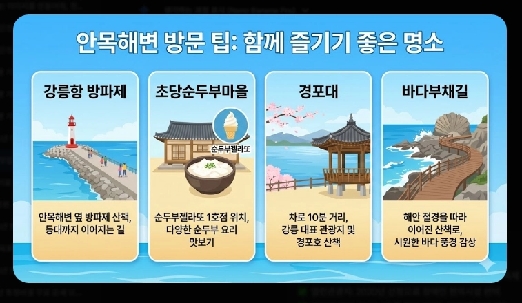 강릉 맛집 안목해변 커피거리 베스트 5 (2026 최신)