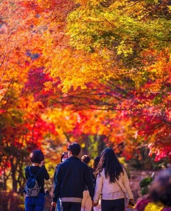 가을 단풍 명소 대중교통 걷기 코스 무료주차 팁_13