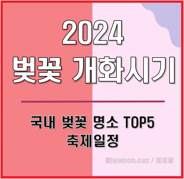2024 국내 벚꽃 개화시기