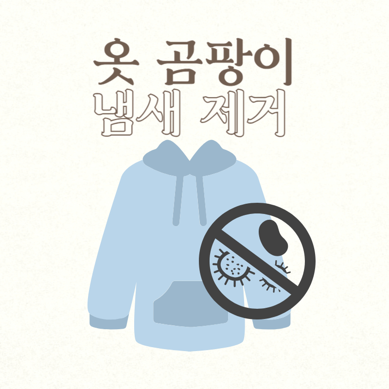 옷 곰팡이 냄새 제거