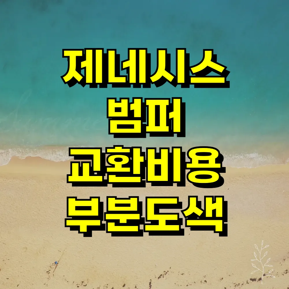 제네시스 범퍼 교환비용 부분도색