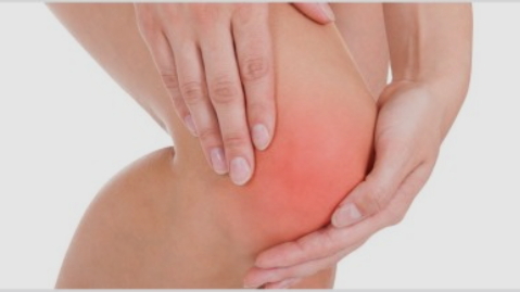 다이어트 보조제 순위 추천 (내돈내산 솔직 후기)