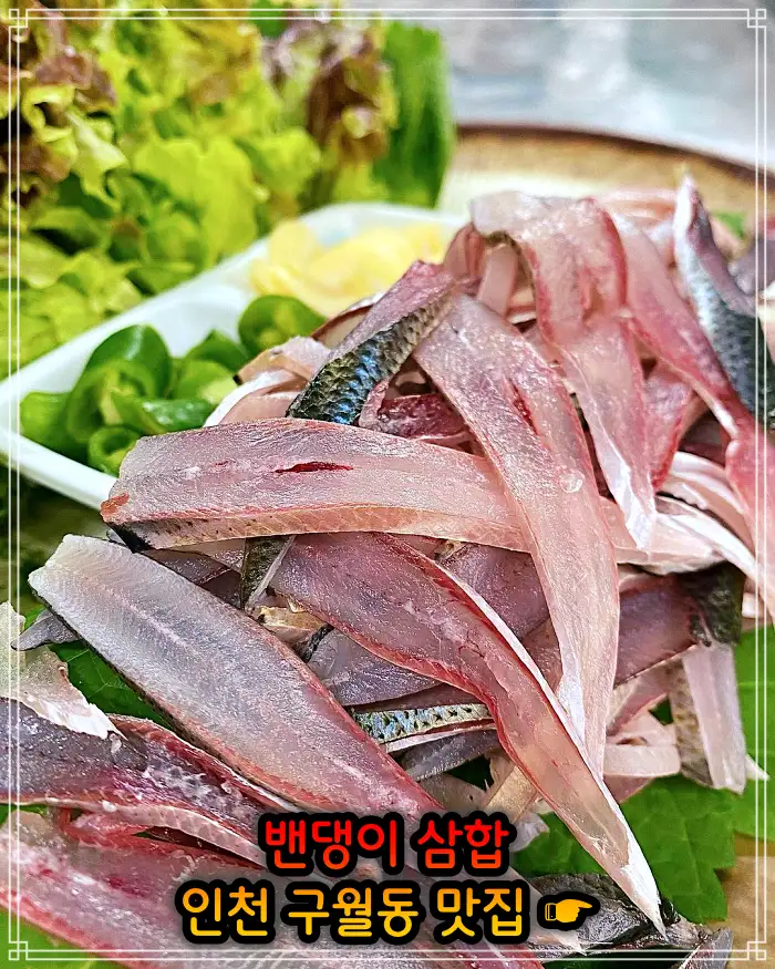 2TV 생생정보 인천 구월동 28년 전통 밴댕이삼합 맛집