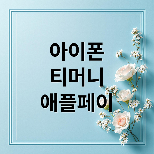 아이폰 티머니 애플페이로