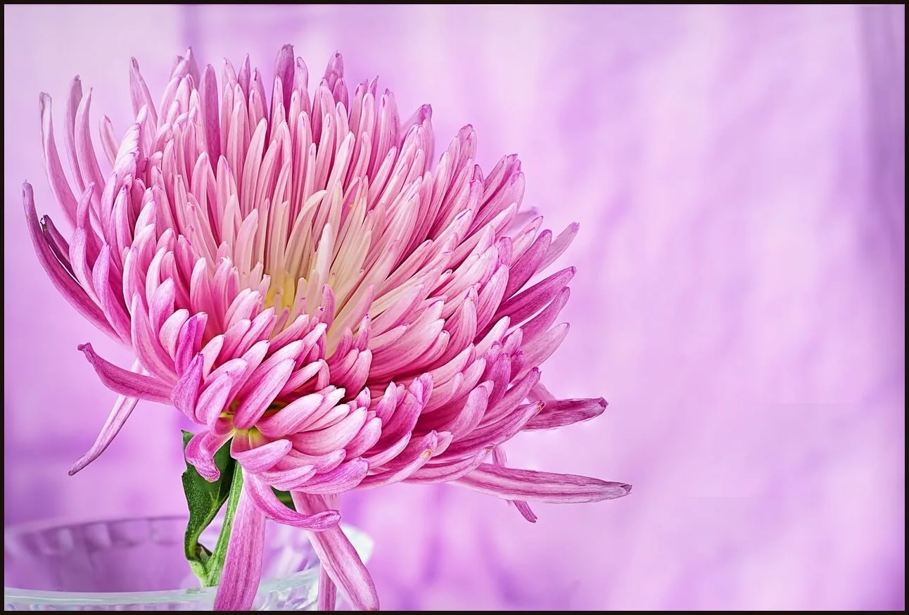 우체국 정기예금 금리