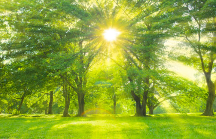 청송-가볼만한곳