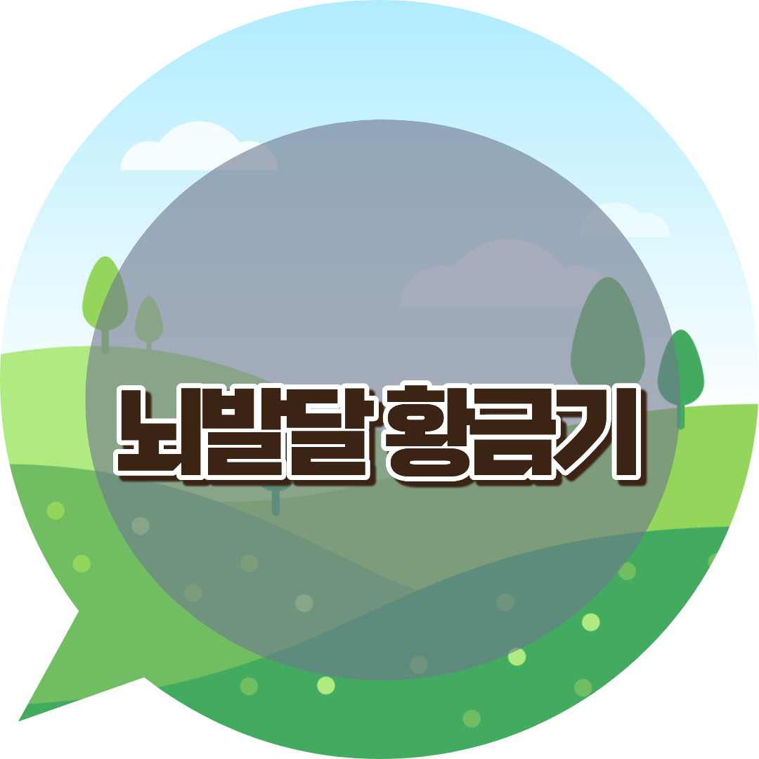 뇌발달 황금기