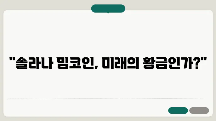 솔라나 코외 밈코인 전망 확인