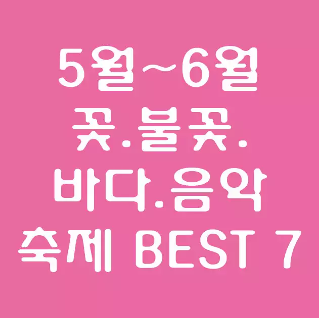 5월6월-축제