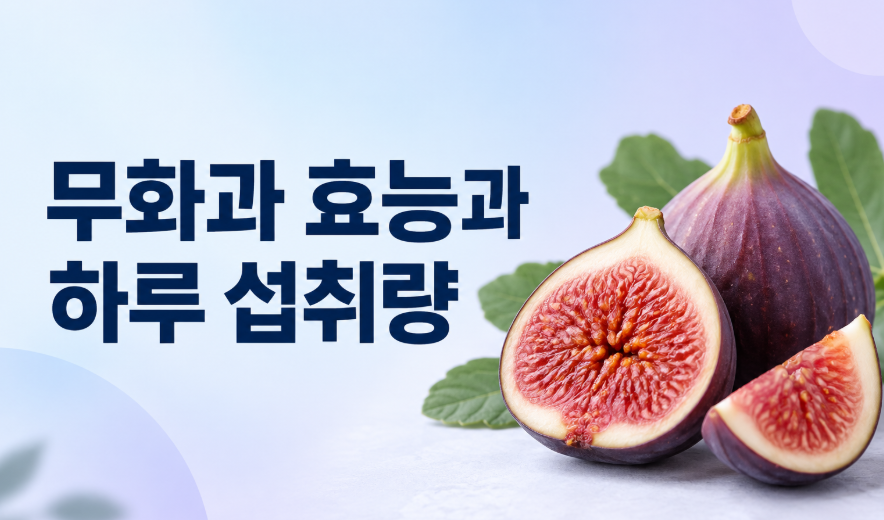 무화과 효능과 하루 섭취량, 식이섬유는 좋지만 당류는 주의해야 하는 이유