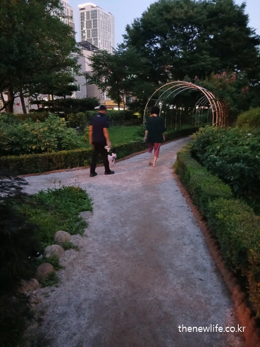 흙길에서 맨발 걷기를 하는 사람들