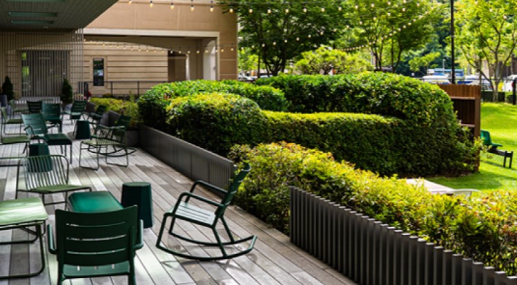 소노인터내셔널