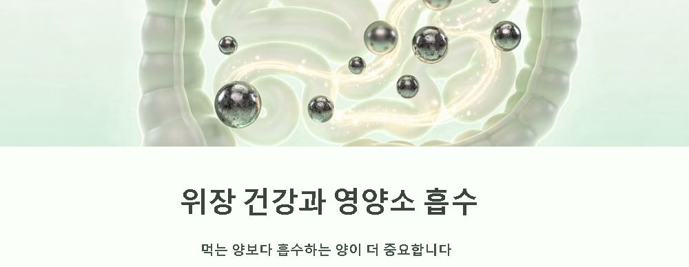 빈혈 수치 정상범위